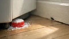 Slik lager du åte mot kakerlakker med natron og sukker